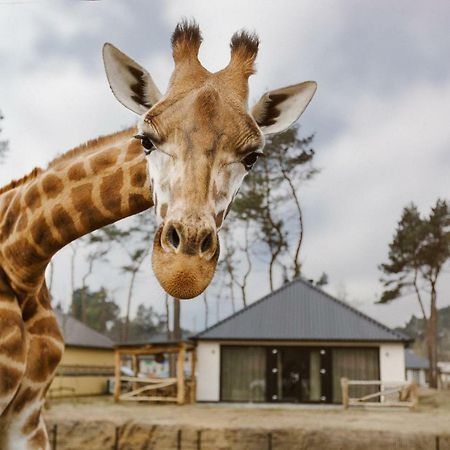 Safari Resort Beekse Bergen Hilvarenbeek Εξωτερικό φωτογραφία