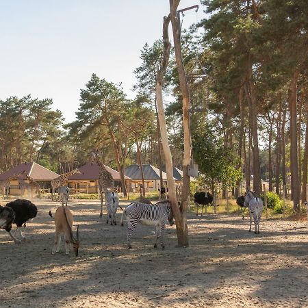 Safari Resort Beekse Bergen Hilvarenbeek Εξωτερικό φωτογραφία