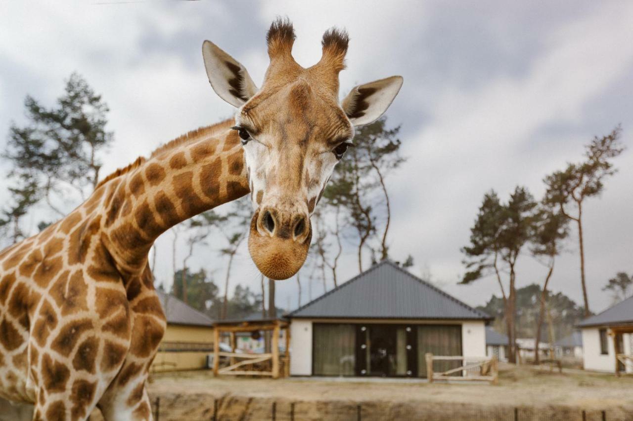 Safari Resort Beekse Bergen Hilvarenbeek Εξωτερικό φωτογραφία
