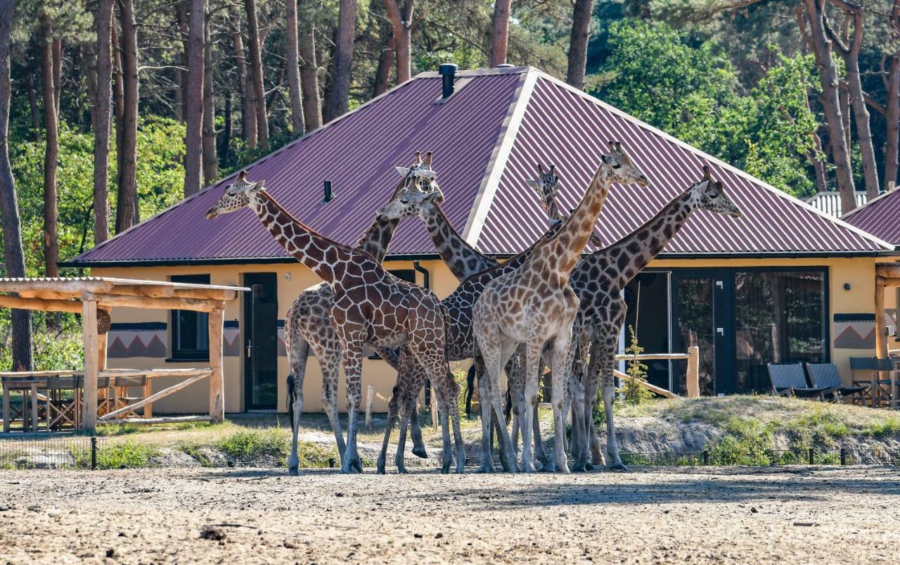 Safari Resort Beekse Bergen Hilvarenbeek Εξωτερικό φωτογραφία