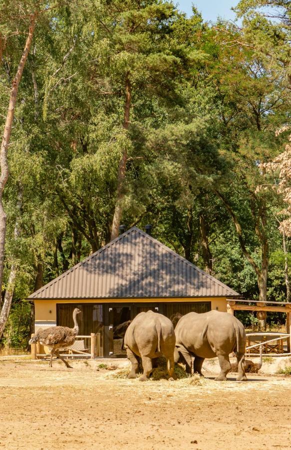 Safari Resort Beekse Bergen Hilvarenbeek Εξωτερικό φωτογραφία